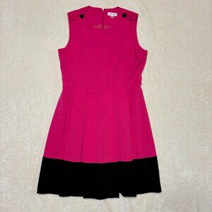 Calvin Klein Pink and Black Dress